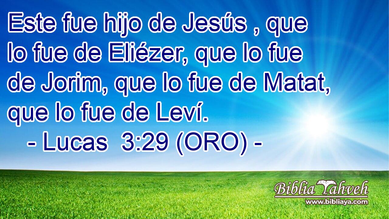  Este fue hijo de Jesús , que lo fue de Eliézer, que lo fue de Jorim, que lo fue de Matat, que lo fue de Leví. 