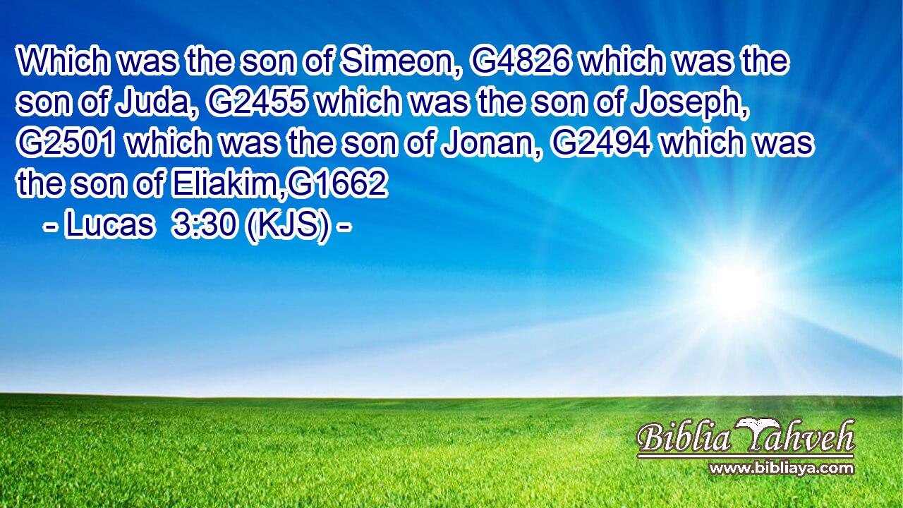 Which was the son of Simeon, G4826 which was the son of Juda, G2455 which was the son of Joseph, G2501 which was the son of Jonan, G2494 which was the son of Eliakim,G1662