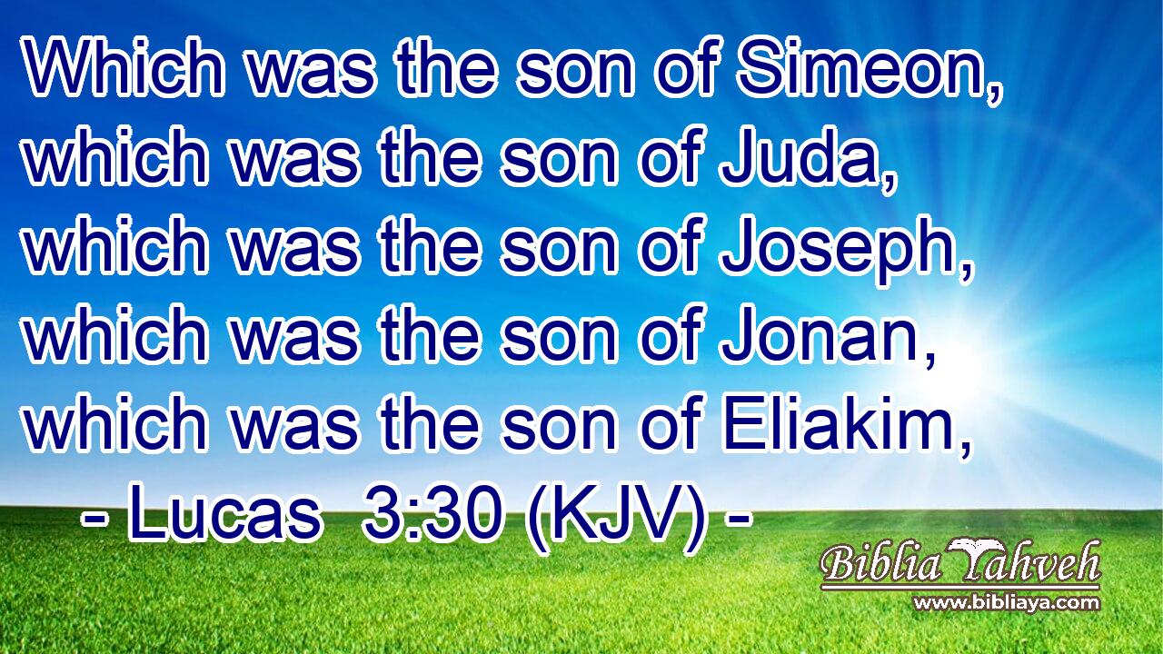 Which was the son of Simeon, which was the son of Juda, which was the son of Joseph, which was the son of Jonan, which was the son of Eliakim,