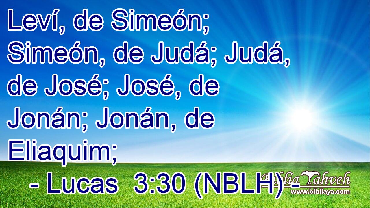  Leví, de Simeón; Simeón, de Judá; Judá, de José; José, de Jonán; Jonán, de Eliaquim; 