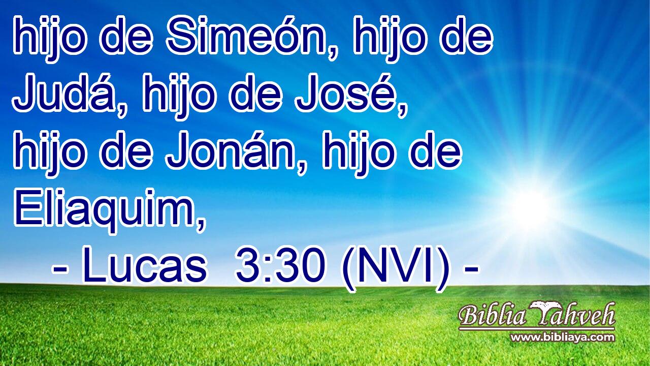  hijo de Simeón, hijo de Judá, hijo de José, hijo de Jonán, hijo de Eliaquim, 