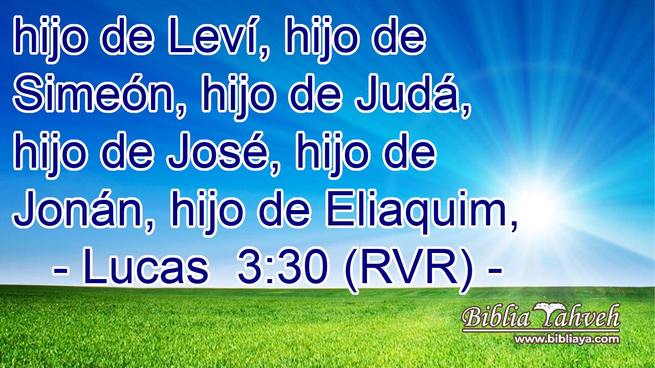 hijo de Leví, hijo de Simeón, hijo de Judá, hijo de José, hijo de Jonán, hijo de Eliaquim,