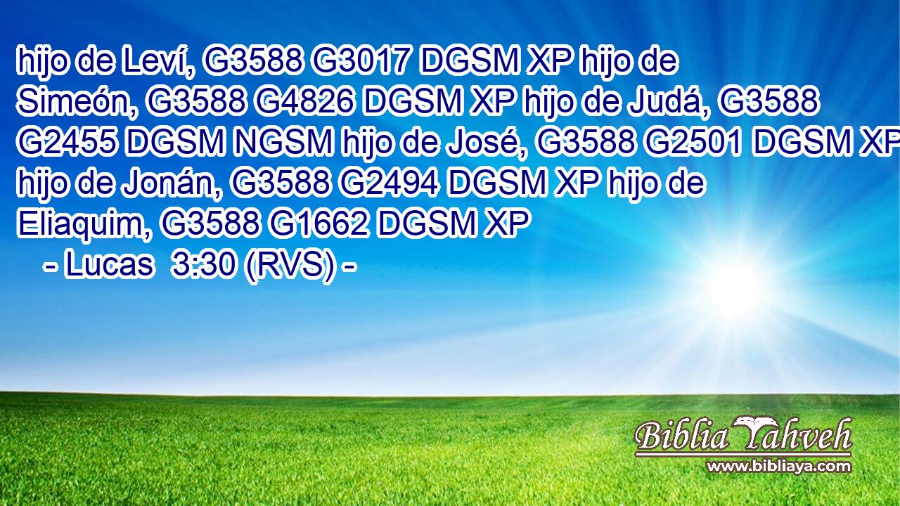 hijo de Leví, G3588 G3017 DGSM XP hijo de Simeón, G3588 G4826 DGSM XP hijo de Judá, G3588 G2455 DGSM NGSM hijo de José, G3588 G2501 DGSM XP hijo de Jonán, G3588 G2494 DGSM XP hijo de Eliaquim, G3588 G1662 DGSM XP 