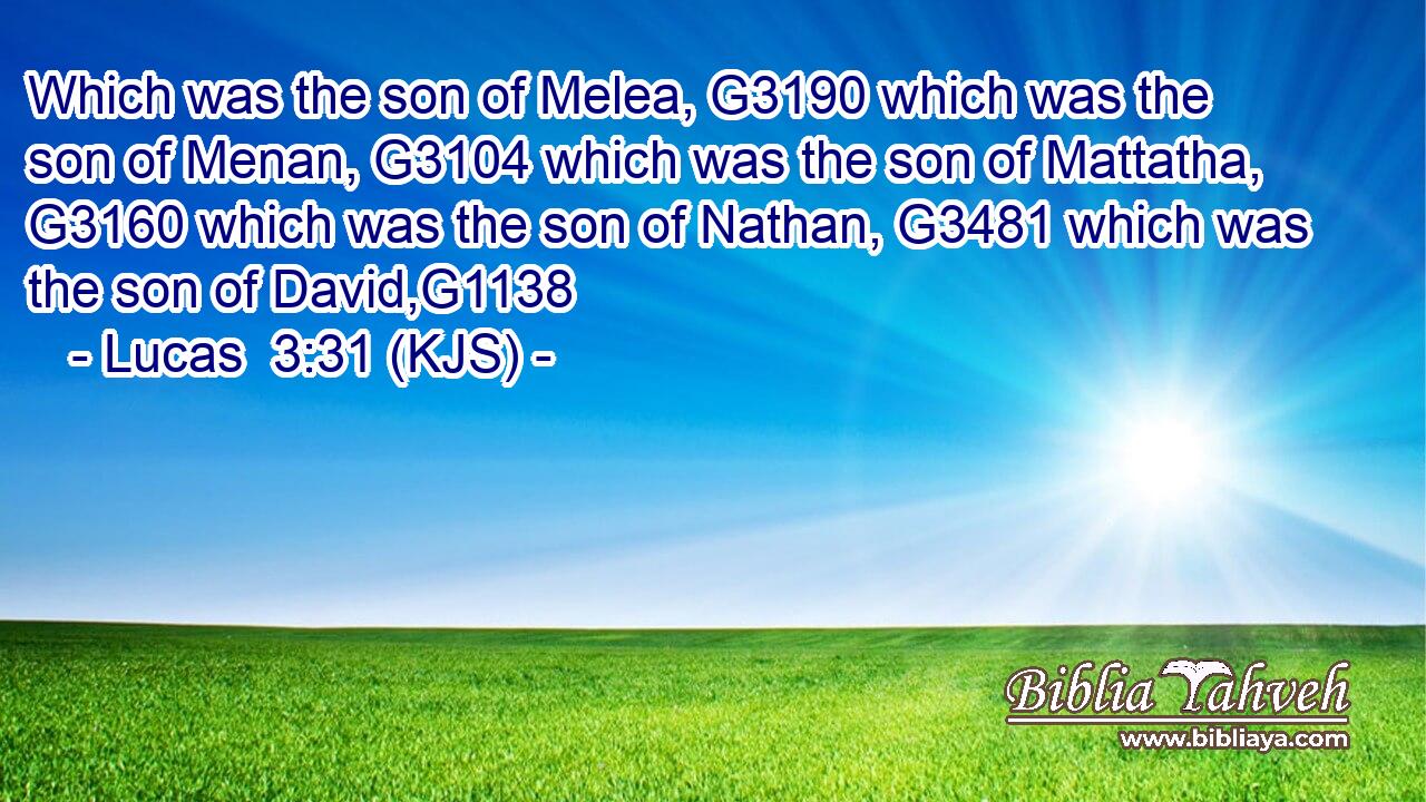 Which was the son of Melea, G3190 which was the son of Menan, G3104 which was the son of Mattatha, G3160 which was the son of Nathan, G3481 which was the son of David,G1138