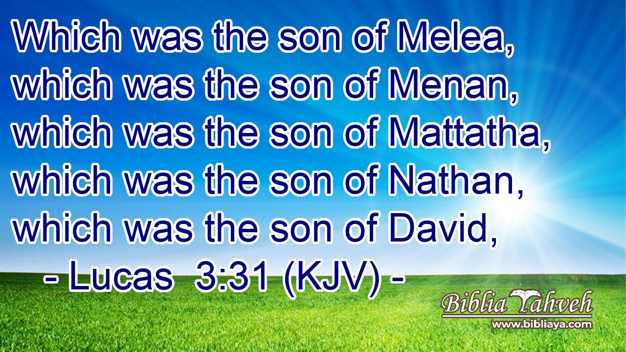 Which was the son of Melea, which was the son of Menan, which was the son of Mattatha, which was the son of Nathan, which was the son of David,