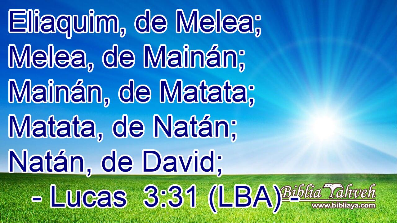 Eliaquim, de Melea; Melea, de Mainán; Mainán, de Matata; Matata, de Natán; Natán, de David;