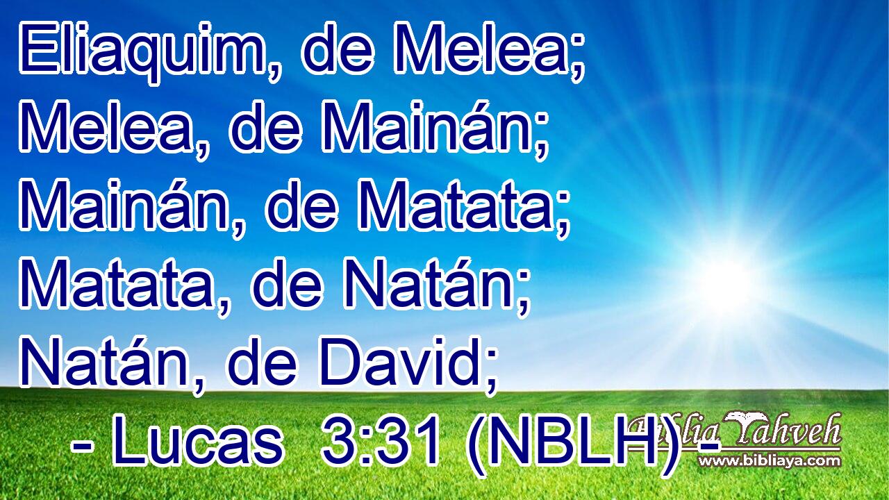  Eliaquim, de Melea; Melea, de Mainán; Mainán, de Matata; Matata, de Natán; Natán, de David; 