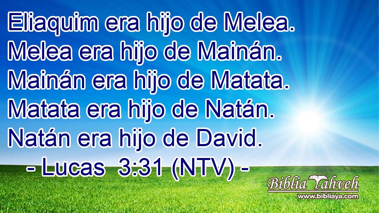 Eliaquim era hijo de Melea. Melea era hijo de Mainán. Mainán era hijo de Matata. Matata era hijo de Natán. Natán era hijo de David.