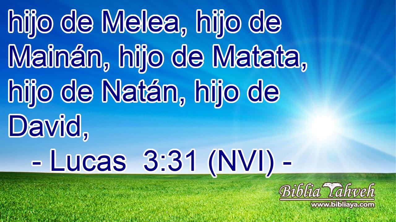  hijo de Melea, hijo de Mainán, hijo de Matata, hijo de Natán, hijo de David, 