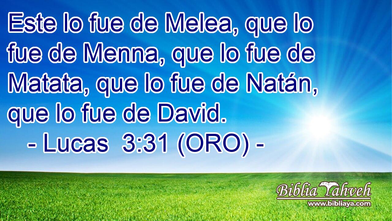 Este lo fue de Melea, que lo fue de Menna, que lo fue de Matata, que lo fue de Natán, que lo fue de David. 