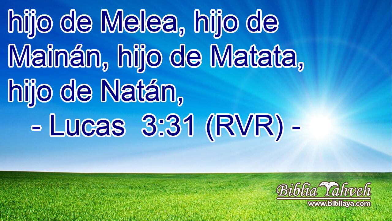 hijo de Melea, hijo de Mainán, hijo de Matata, hijo de Natán,