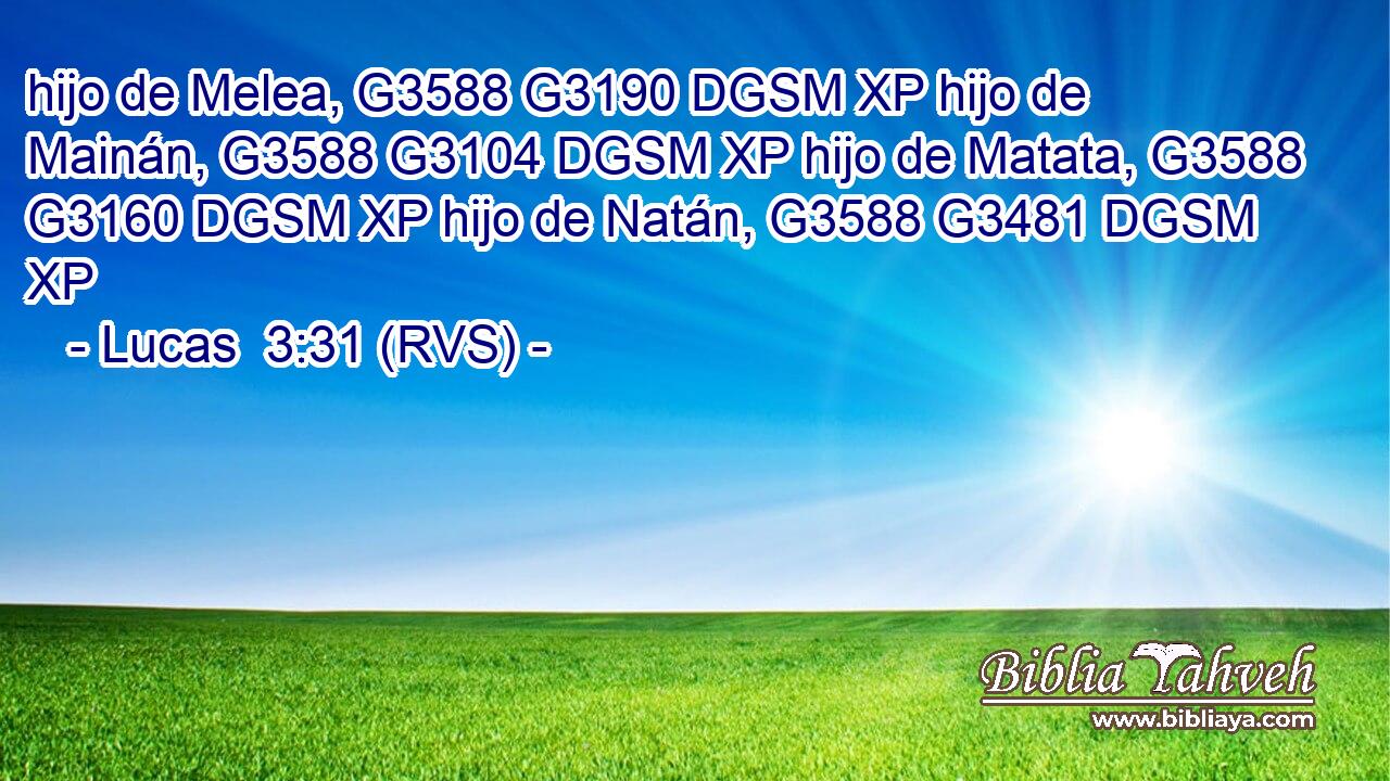 hijo de Melea, G3588 G3190 DGSM XP hijo de Mainán, G3588 G3104 DGSM XP hijo de Matata, G3588 G3160 DGSM XP hijo de Natán, G3588 G3481 DGSM XP 