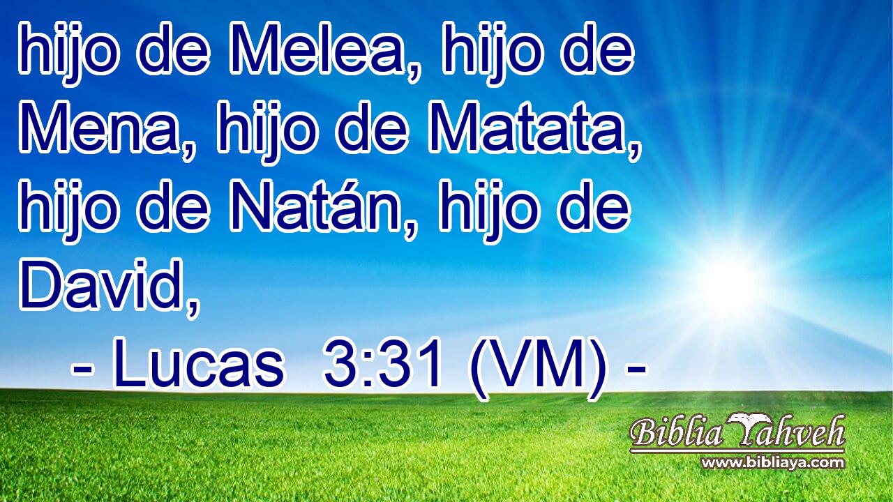  hijo de Melea, hijo de Mena, hijo de Matata, hijo de Natán, hijo de David, 