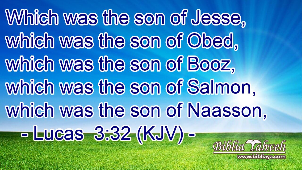 Which was the son of Jesse, which was the son of Obed, which was the son of Booz, which was the son of Salmon, which was the son of Naasson,