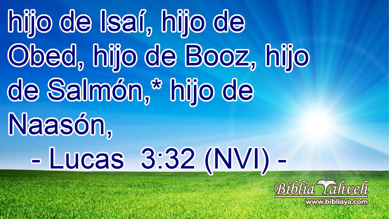  hijo de Isaí, hijo de Obed, hijo de Booz, hijo de Salmón,* hijo de Naasón, 