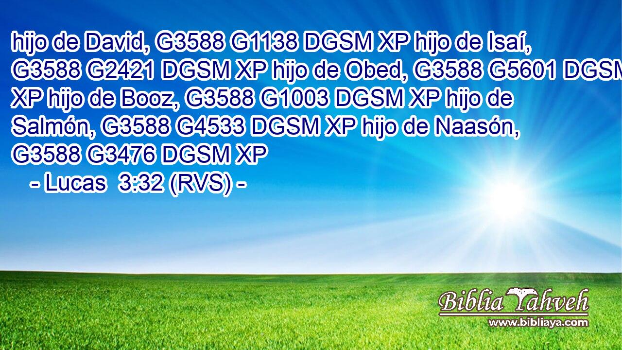hijo de David, G3588 G1138 DGSM XP hijo de Isaí, G3588 G2421 DGSM XP hijo de Obed, G3588 G5601 DGSM XP hijo de Booz, G3588 G1003 DGSM XP hijo de Salmón, G3588 G4533 DGSM XP hijo de Naasón, G3588 G3476 DGSM XP 