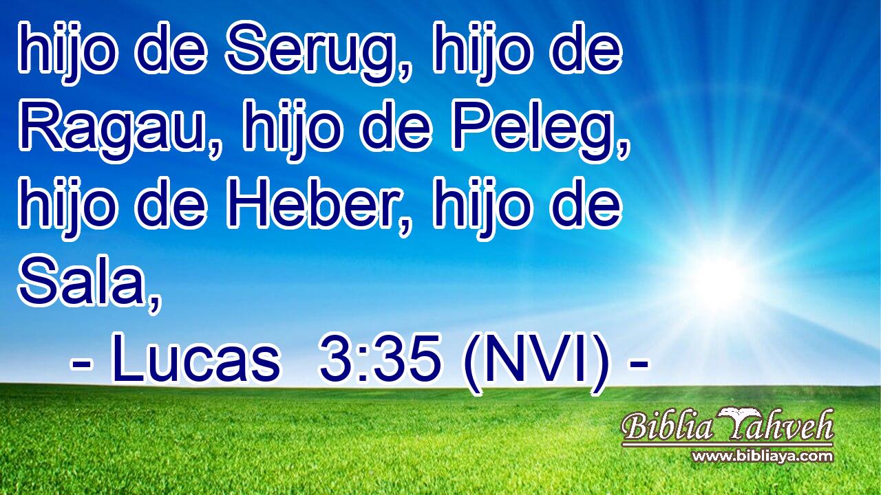  hijo de Serug, hijo de Ragau, hijo de Peleg, hijo de Heber, hijo de Sala, 