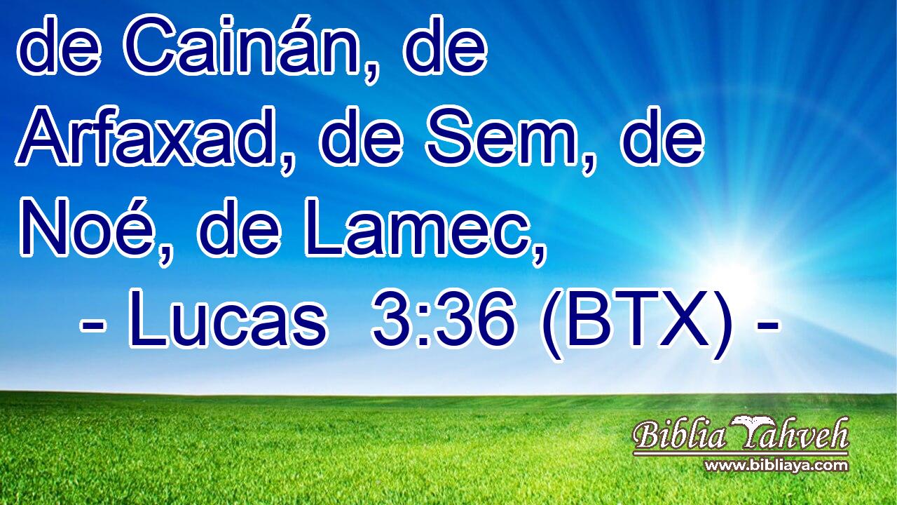 de Cainán, de Arfaxad, de Sem, de Noé, de Lamec,