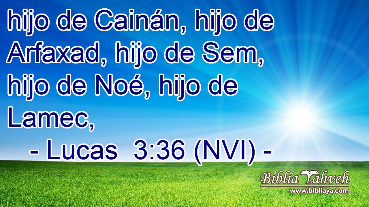  hijo de Cainán, hijo de Arfaxad, hijo de Sem, hijo de Noé, hijo de Lamec, 