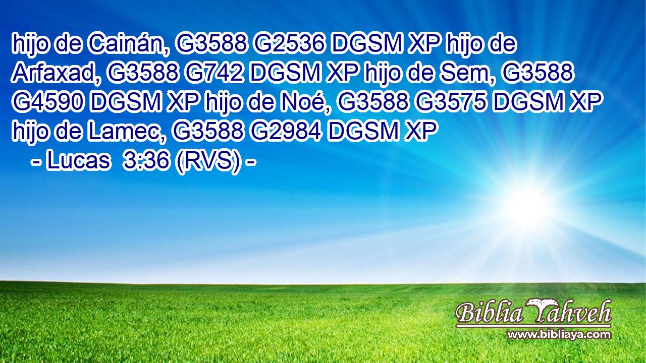 hijo de Cainán, G3588 G2536 DGSM XP hijo de Arfaxad, G3588 G742 DGSM XP hijo de Sem, G3588 G4590 DGSM XP hijo de Noé, G3588 G3575 DGSM XP hijo de Lamec, G3588 G2984 DGSM XP 