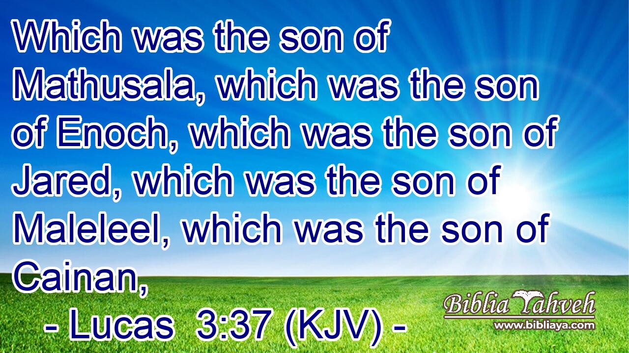 Which was the son of Mathusala, which was the son of Enoch, which was the son of Jared, which was the son of Maleleel, which was the son of Cainan,