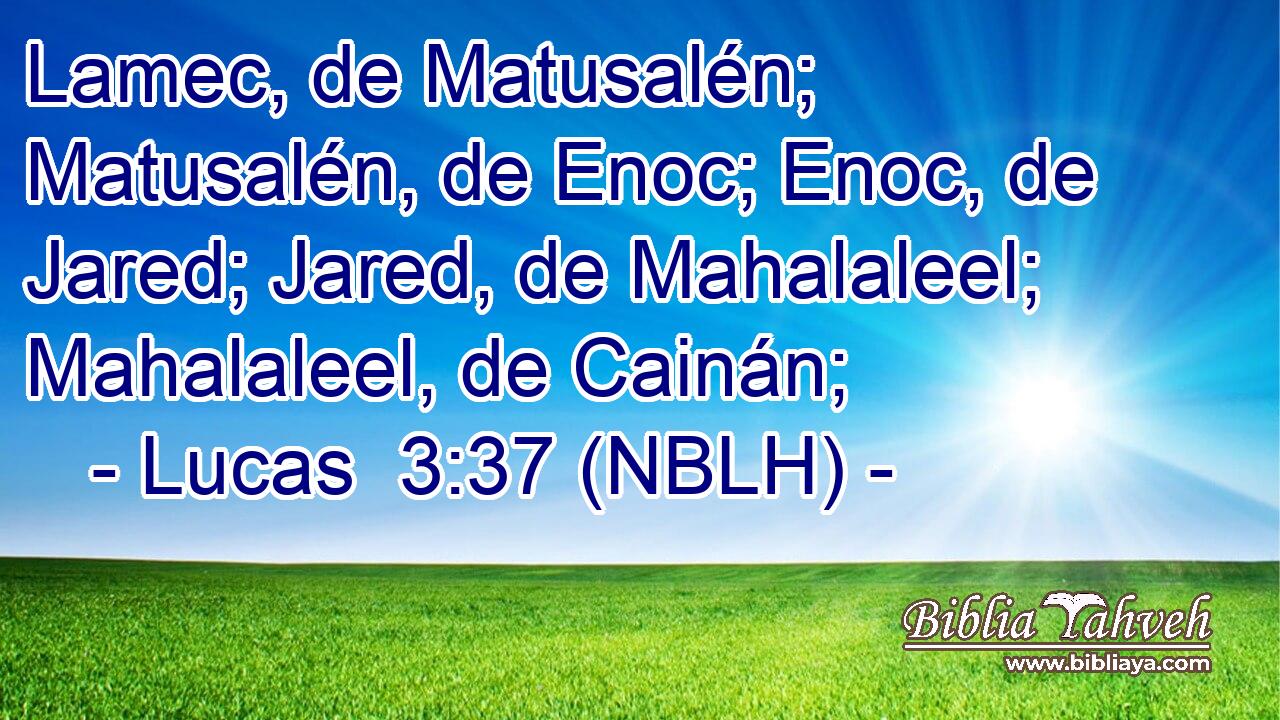  Lamec, de Matusalén; Matusalén, de Enoc; Enoc, de Jared; Jared, de Mahalaleel; Mahalaleel, de Cainán; 