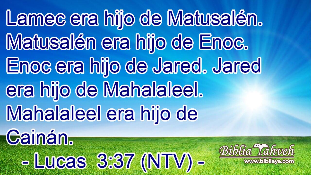 Lamec era hijo de Matusalén. Matusalén era hijo de Enoc. Enoc era hijo de Jared. Jared era hijo de Mahalaleel. Mahalaleel era hijo de Cainán.