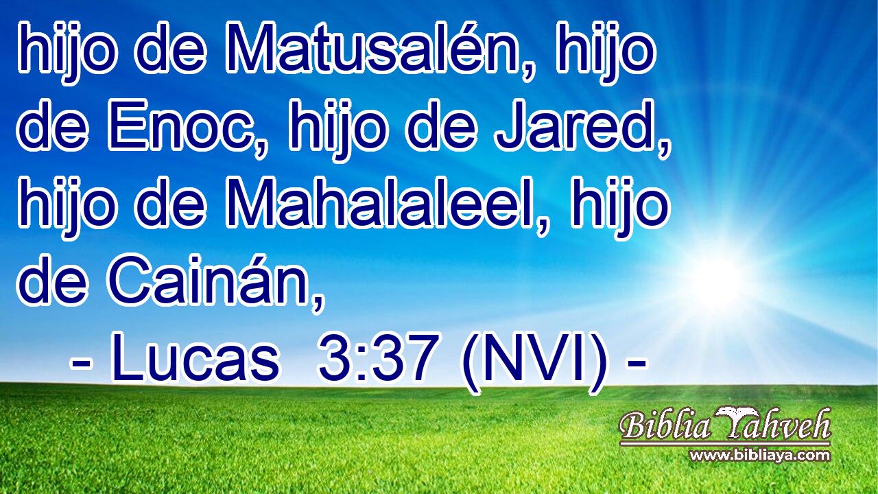  hijo de Matusalén, hijo de Enoc, hijo de Jared, hijo de Mahalaleel, hijo de Cainán, 