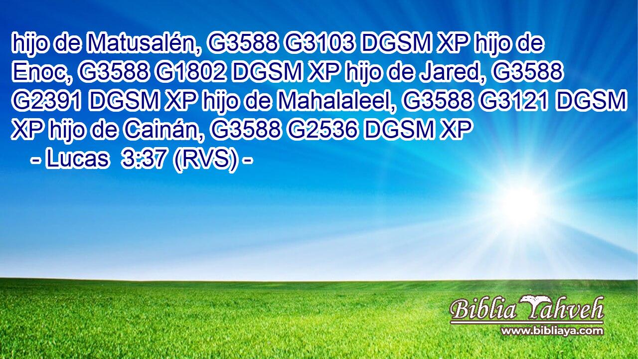hijo de Matusalén, G3588 G3103 DGSM XP hijo de Enoc, G3588 G1802 DGSM XP hijo de Jared, G3588 G2391 DGSM XP hijo de Mahalaleel, G3588 G3121 DGSM XP hijo de Cainán, G3588 G2536 DGSM XP 