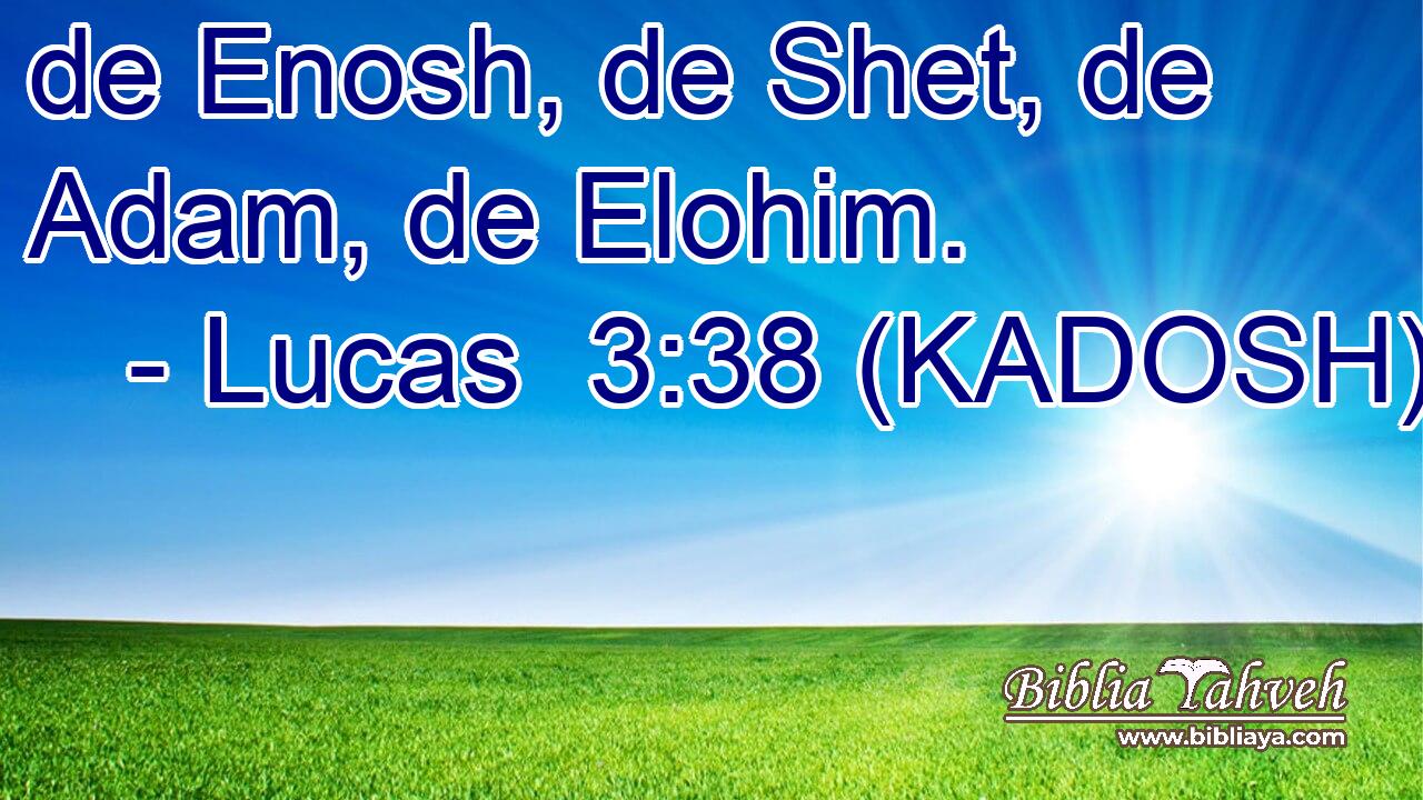  de Enosh, de Shet, de Adam, de Elohim. 
