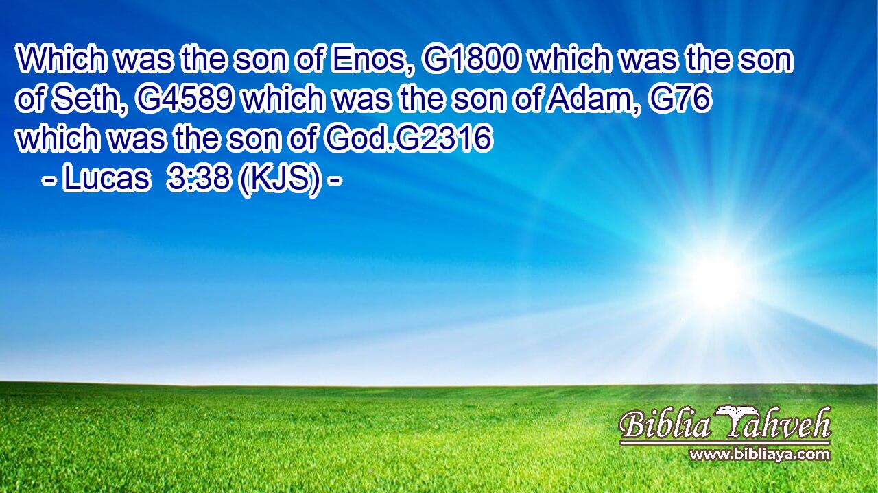 Which was the son of Enos, G1800 which was the son of Seth, G4589 which was the son of Adam, G76 which was the son of God.G2316