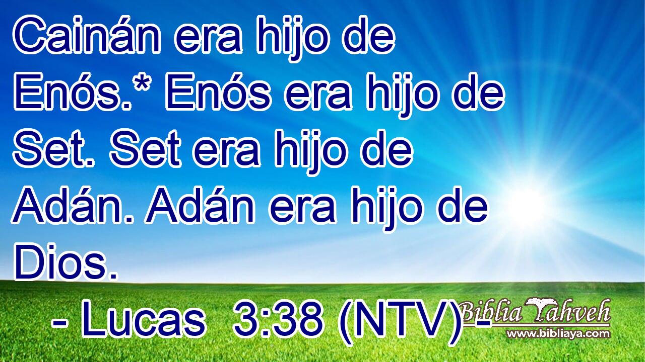Cainán era hijo de Enós.* Enós era hijo de Set. Set era hijo de Adán. Adán era hijo de Dios.