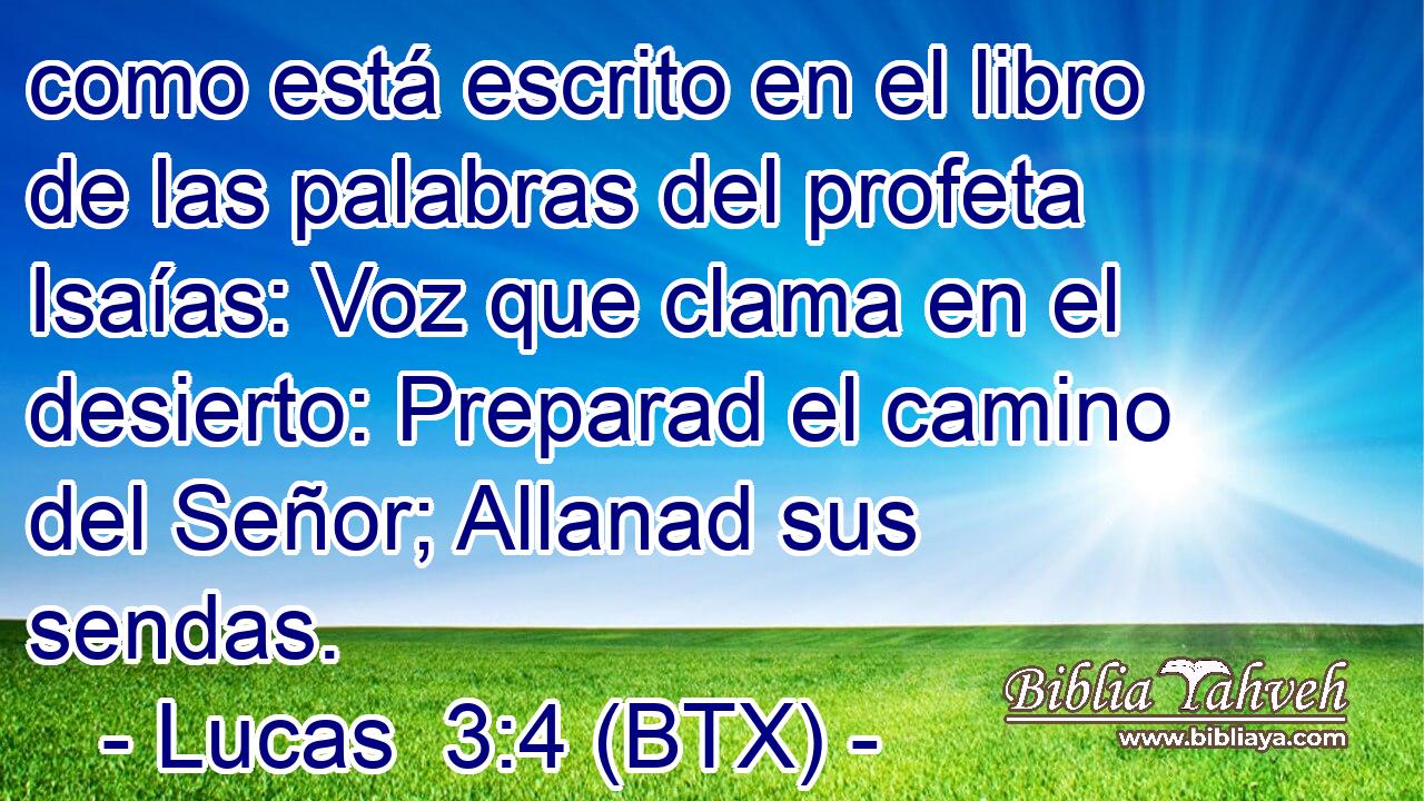 como está escrito en el libro de las palabras del profeta Isaías: Voz que clama en el desierto: Preparad el camino del Señor; Allanad sus sendas.