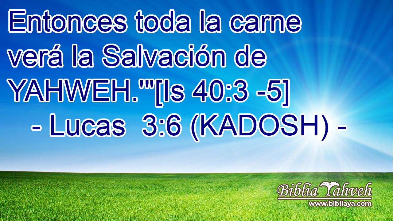  Entonces toda la carne verá la Salvación de YAHWEH.'