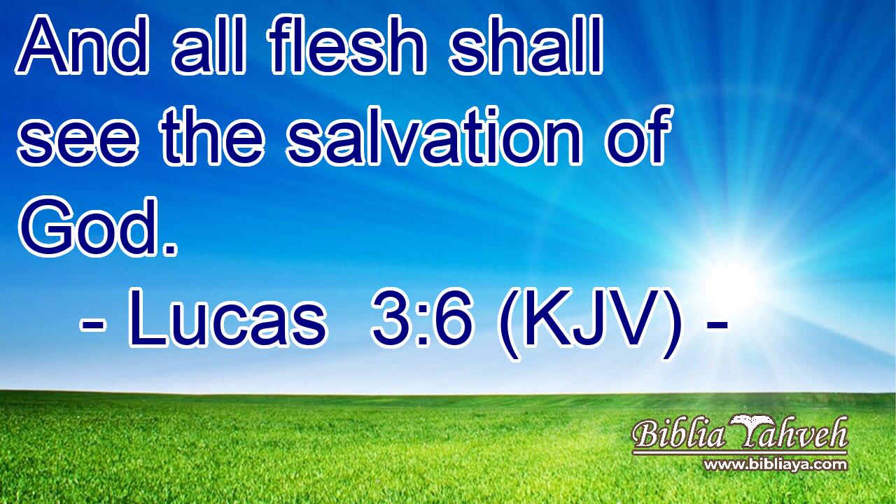 And all flesh shall see the salvation of God.