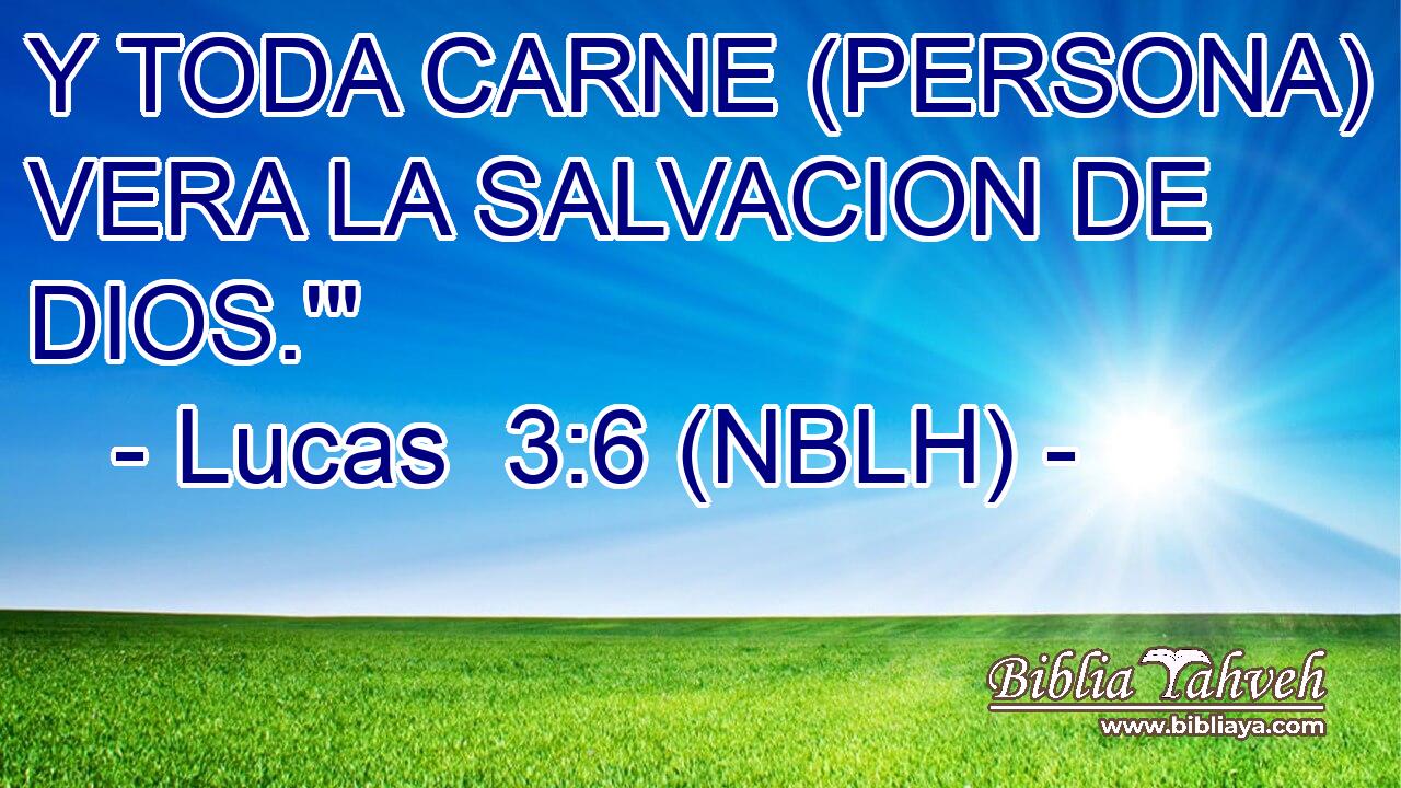  Y TODA CARNE (PERSONA) VERA LA SALVACION DE DIOS.'