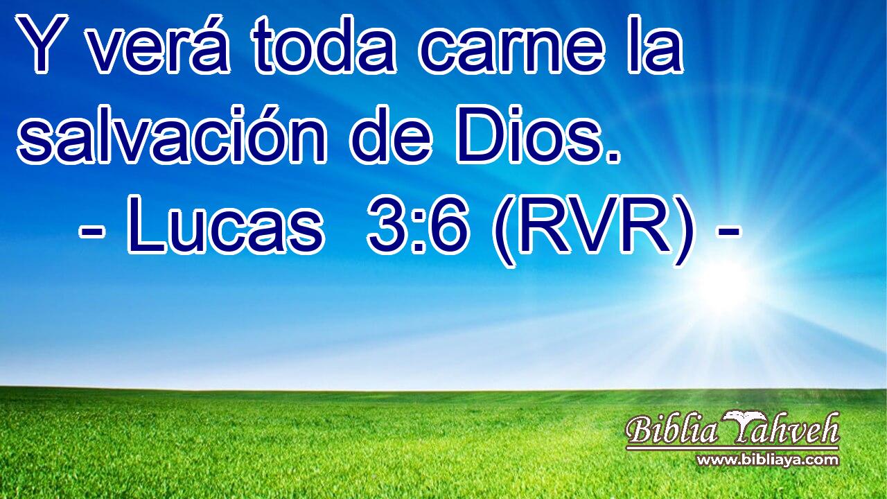 Y verá toda carne la salvación de Dios.