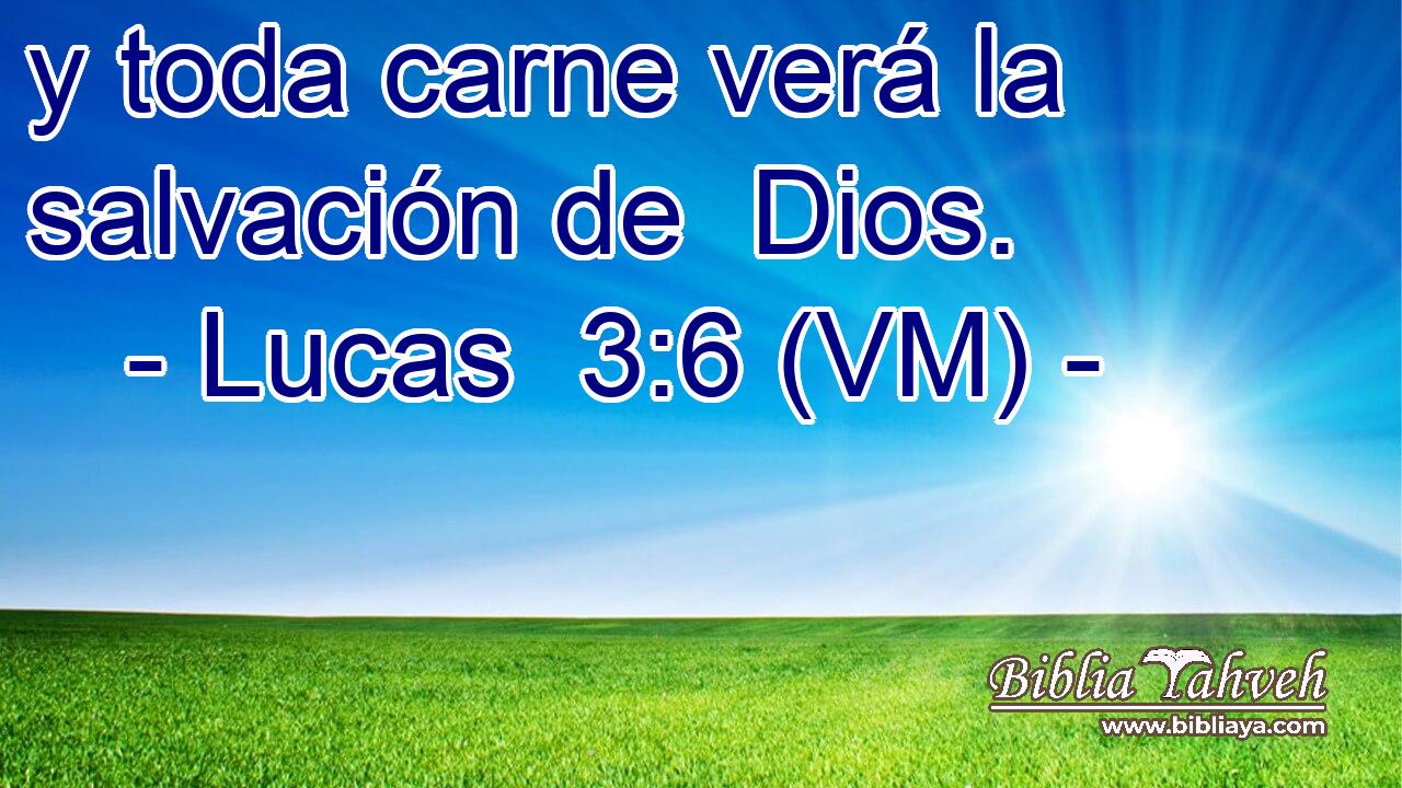  y toda carne verá la salvación de  Dios. 