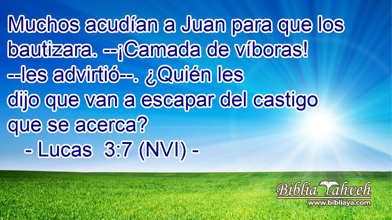  Muchos acudían a Juan para que los bautizara. --¡Camada de víboras! --les advirtió--. ¿Quién les dijo que van a escapar del castigo que se acerca? 