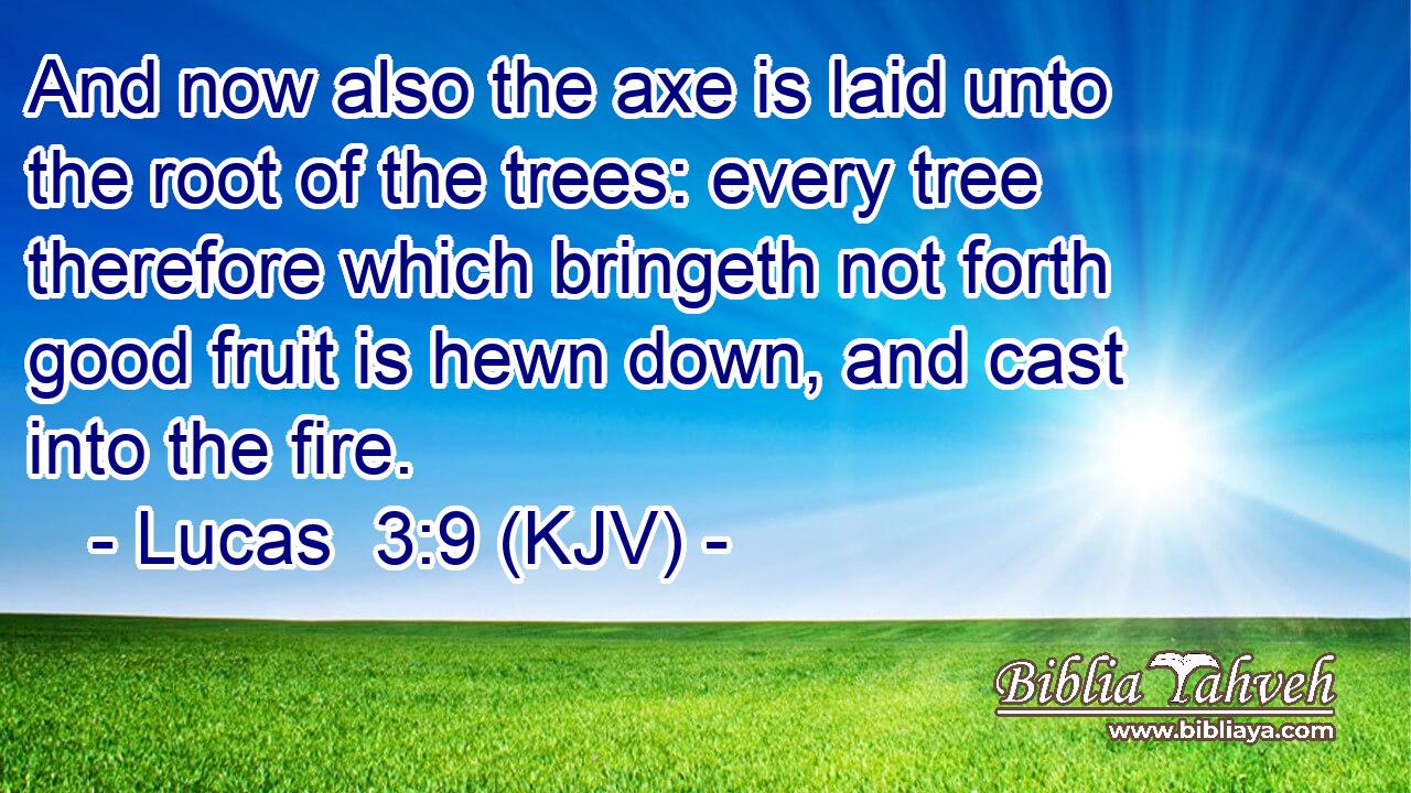 And now also the axe is laid unto the root of the trees: every tree therefore which bringeth not forth good fruit is hewn down, and cast into the fire.