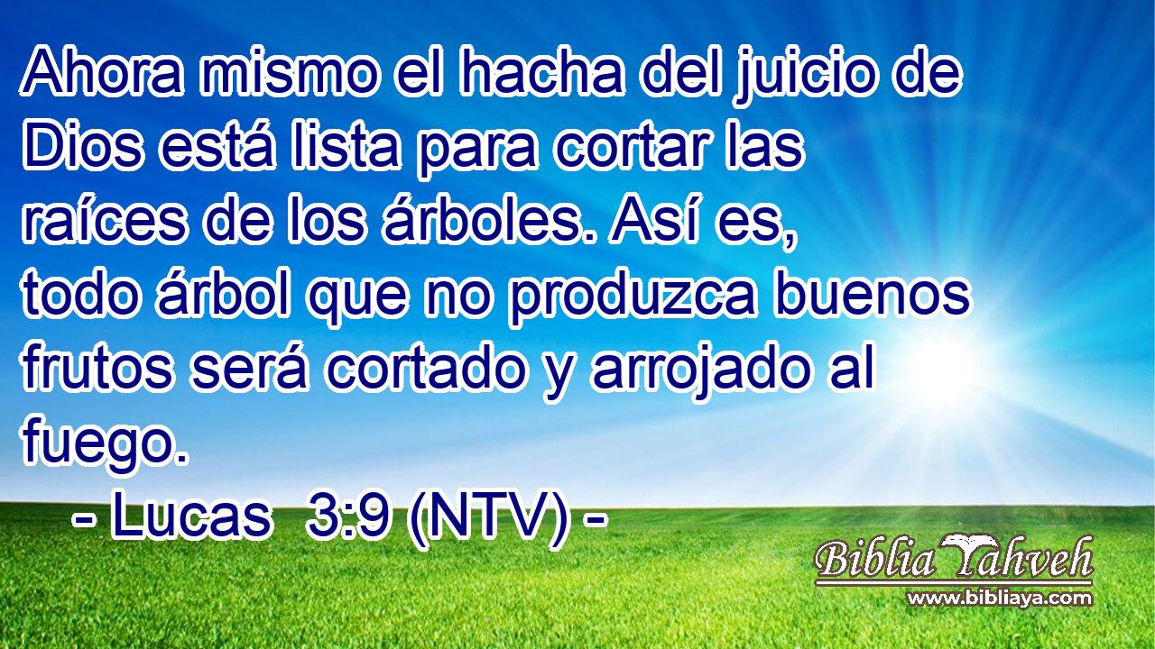 Ahora mismo el hacha del juicio de Dios está lista para cortar las raíces de los árboles. Así es, todo árbol que no produzca buenos frutos será cortado y arrojado al fuego.