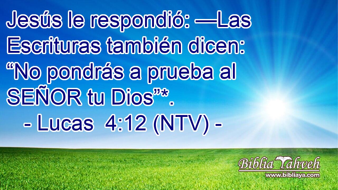 Jesús le respondió: —Las Escrituras también dicen: “No pondrás a prueba al SEÑOR tu Dios”*.