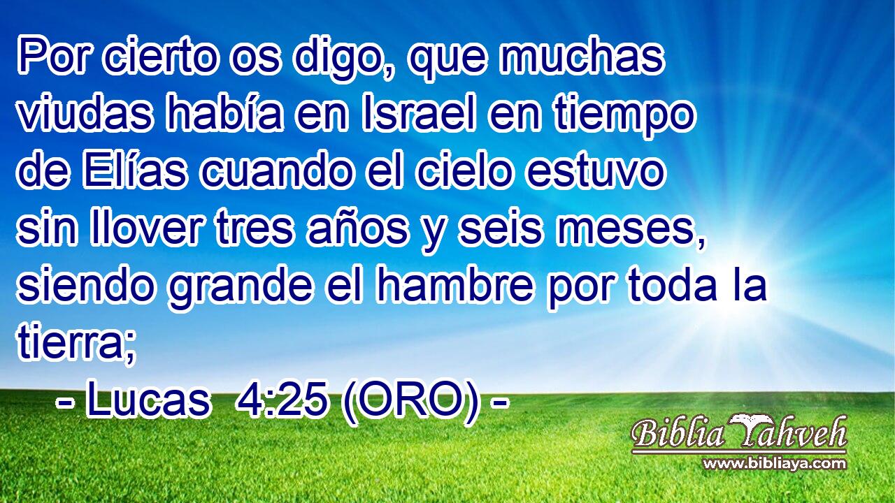  Por cierto os digo, que muchas viudas había en Israel en tiempo de Elías cuando el cielo estuvo sin llover tres años y seis meses, siendo grande el hambre por toda la tierra; 