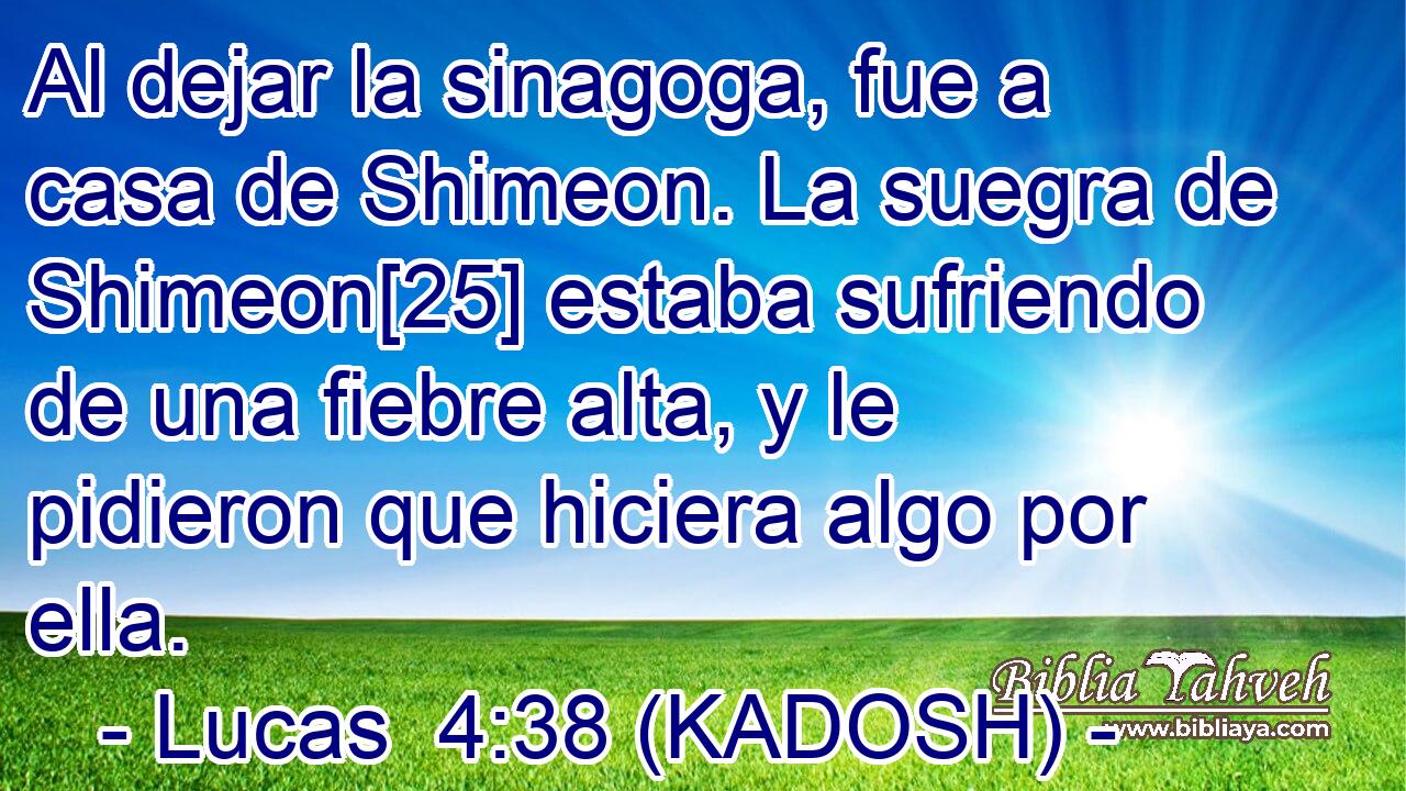  Al dejar la sinagoga, fue a casa de Shimeon. La suegra de Shimeon[25] estaba sufriendo de una fiebre alta, y le pidieron que hiciera algo por ella. 