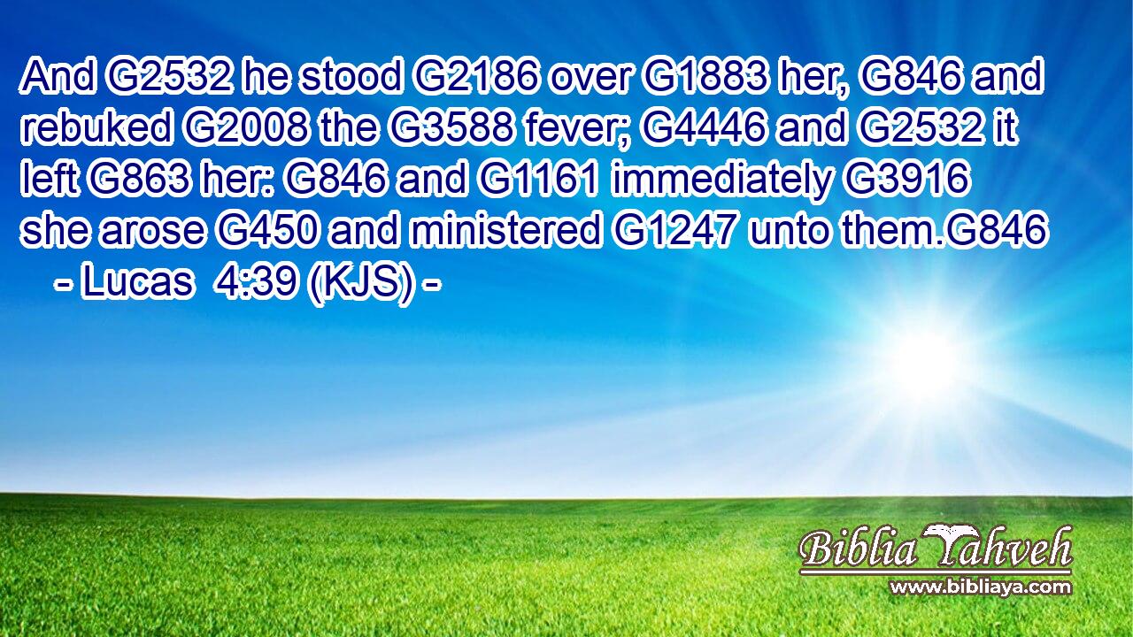 And G2532 he stood G2186 over G1883 her, G846 and rebuked G2008 the G3588 fever; G4446 and G2532 it left G863 her: G846 and G1161 immediately G3916 she arose G450 and ministered G1247 unto them.G846