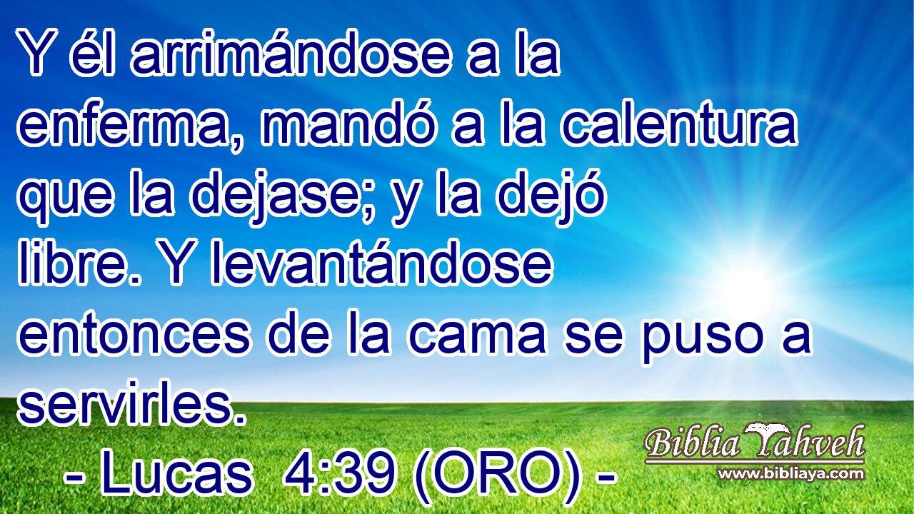  Y él arrimándose a la enferma, mandó a la calentura que la dejase; y la dejó libre. Y levantándose entonces de la cama se puso a servirles. 