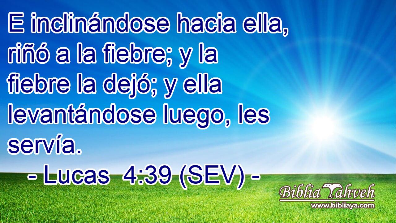 E inclinándose hacia ella, riñó a la fiebre; y la fiebre la dejó; y ella levantándose luego, les servía.