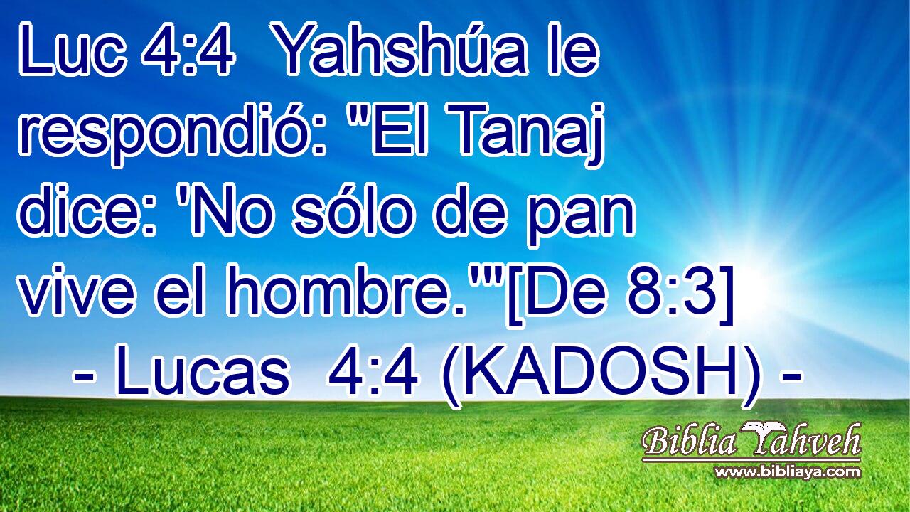  Yahshúa le respondió: 