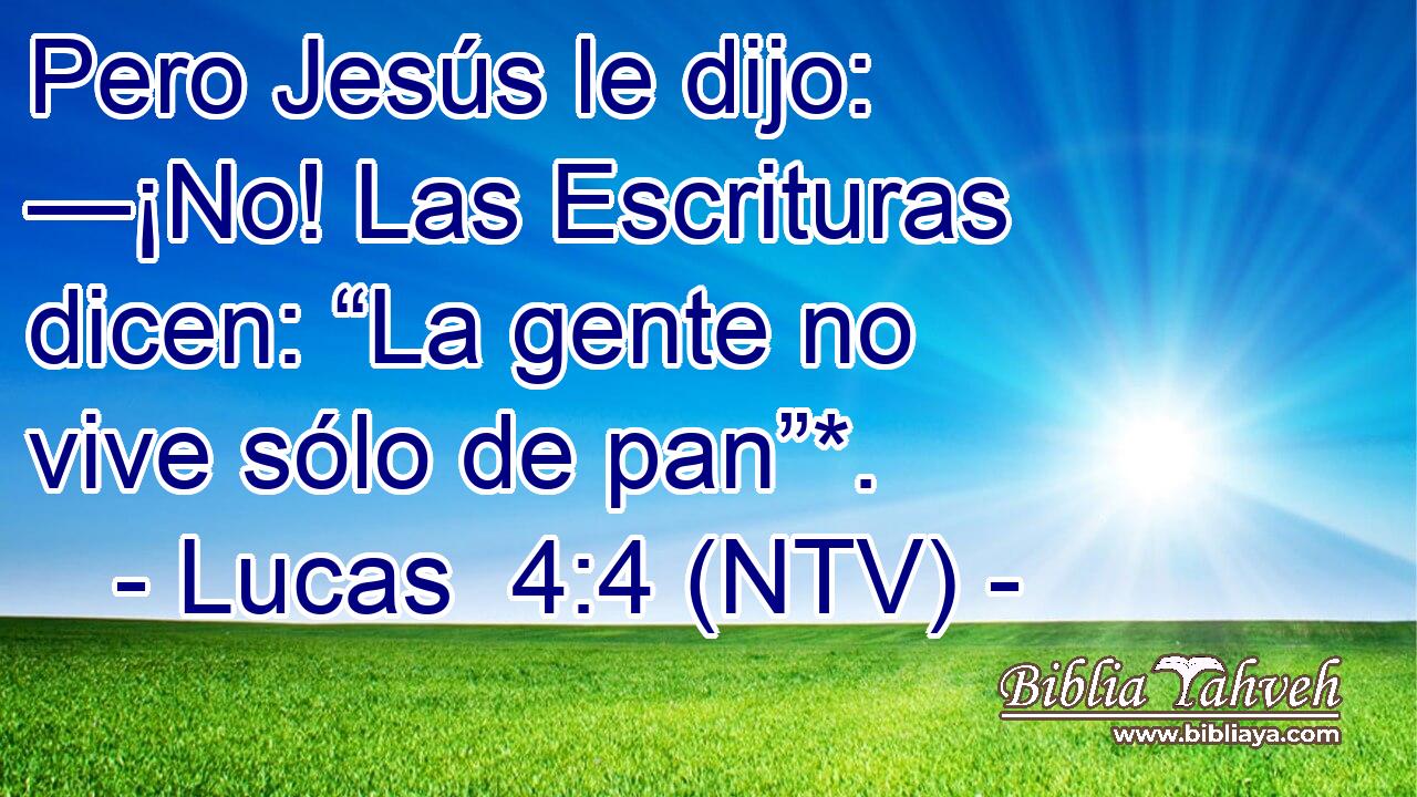 Pero Jesús le dijo: —¡No! Las Escrituras dicen: “La gente no vive sólo de pan”*.