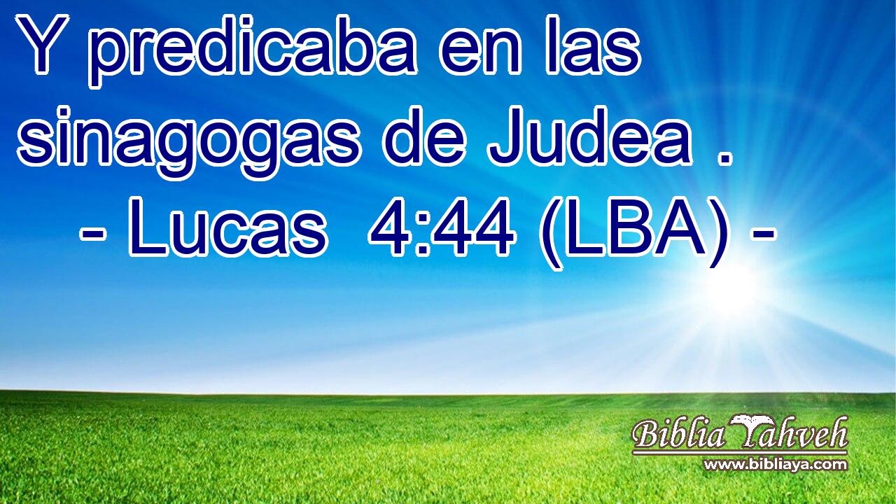 Y predicaba en las sinagogas de Judea .